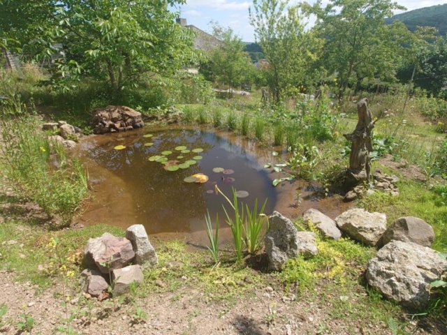 Completed Wildlife Pond Completed Wildlife Pond in Dartmoor National Park