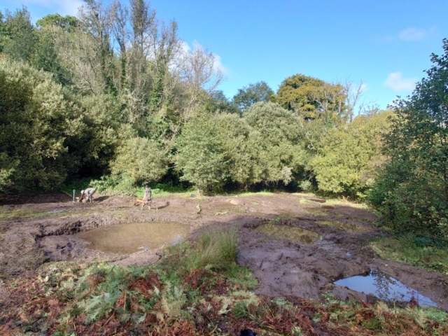 Wetland Restoration Project, Dartmoor National Park Wetland Restoration Project, Dartmoor National Park