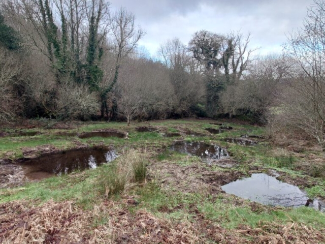 Completed Wetland Restoration Project, Dartmoor National Park Wetland Restoration Project, Dartmoor National Park