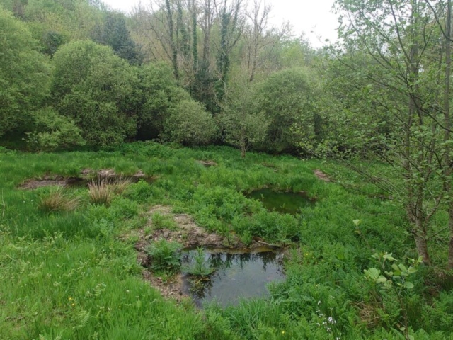 Completed Wetland Restoration Project, Dartmoor National Park Wetland Restoration Project, Dartmoor National Park