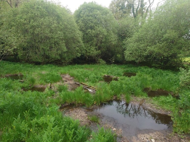 Completed Wetland Restoration Project, Dartmoor National Park Wetland Restoration Project, Dartmoor National Park