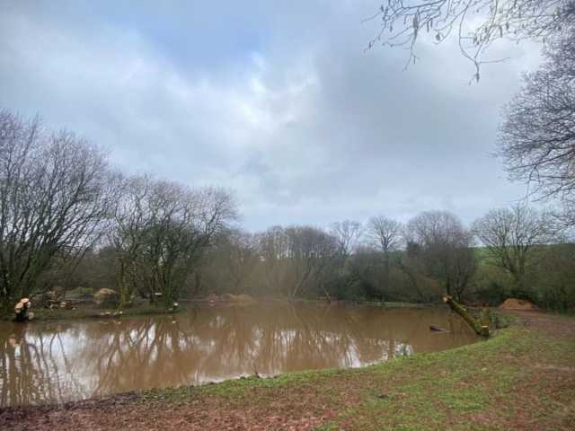 Bank Clearance from Lake in Devon Bank Cleared from Willow Around Lake in Devon