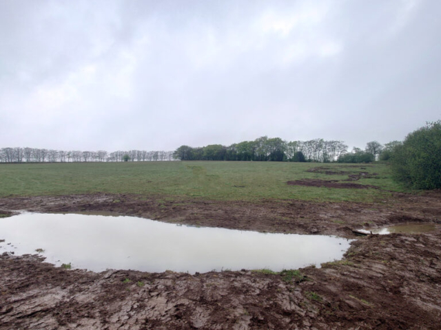 Lower Wildlife Pond & Looking Uphill to Scrapes & Pools Natural Flood Management Devon