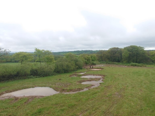 Scrapes & Pools with Meandering Watercourses Natural Flood Management Devon