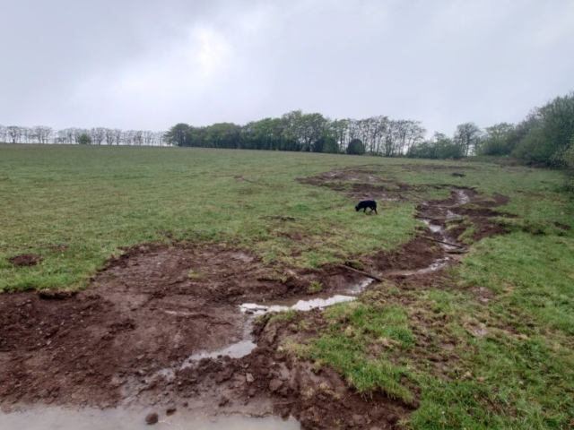 Creation of Scrapes & Pools with Meandering Watercourses Natural Flood Management Devon