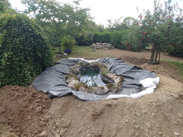 Liner installed and natural rock edging positioned Small Wildlife Pond Creation