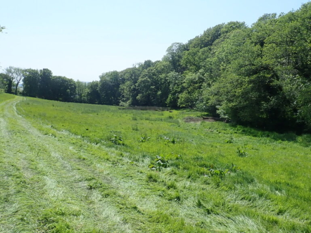 Area for wetland and natural flood management project Wetland Creation Devon