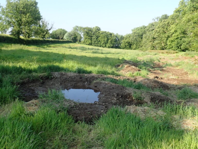 Creating scrapes and pools for new wetland Wetland Creation Devon