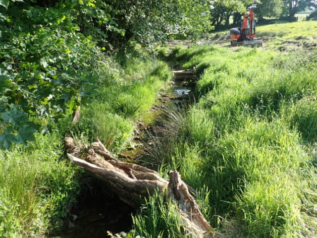 Leaky woody dams being built Leaky Woody Dams Devon