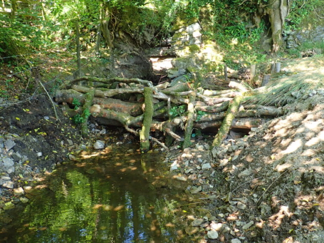 Large leaky woody dams being built Leaky Woody Dams Devon