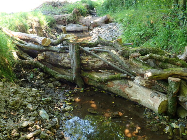 Large leaky woody dams being built Leaky Woody Dams Devon